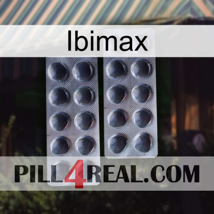 Ibimax 31